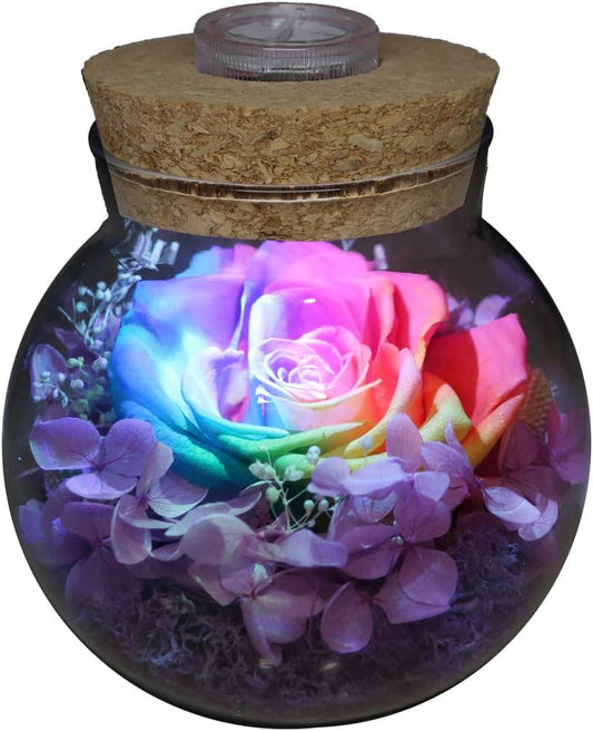 Preserved Real Roses with Colorful Mood Light Wishing Bottle,Eternal Rose,Never Withered Flowers,for Bedroom Party Table Decor, Christmas Anniversary,Valentine's,Mother's Day, (Multi)