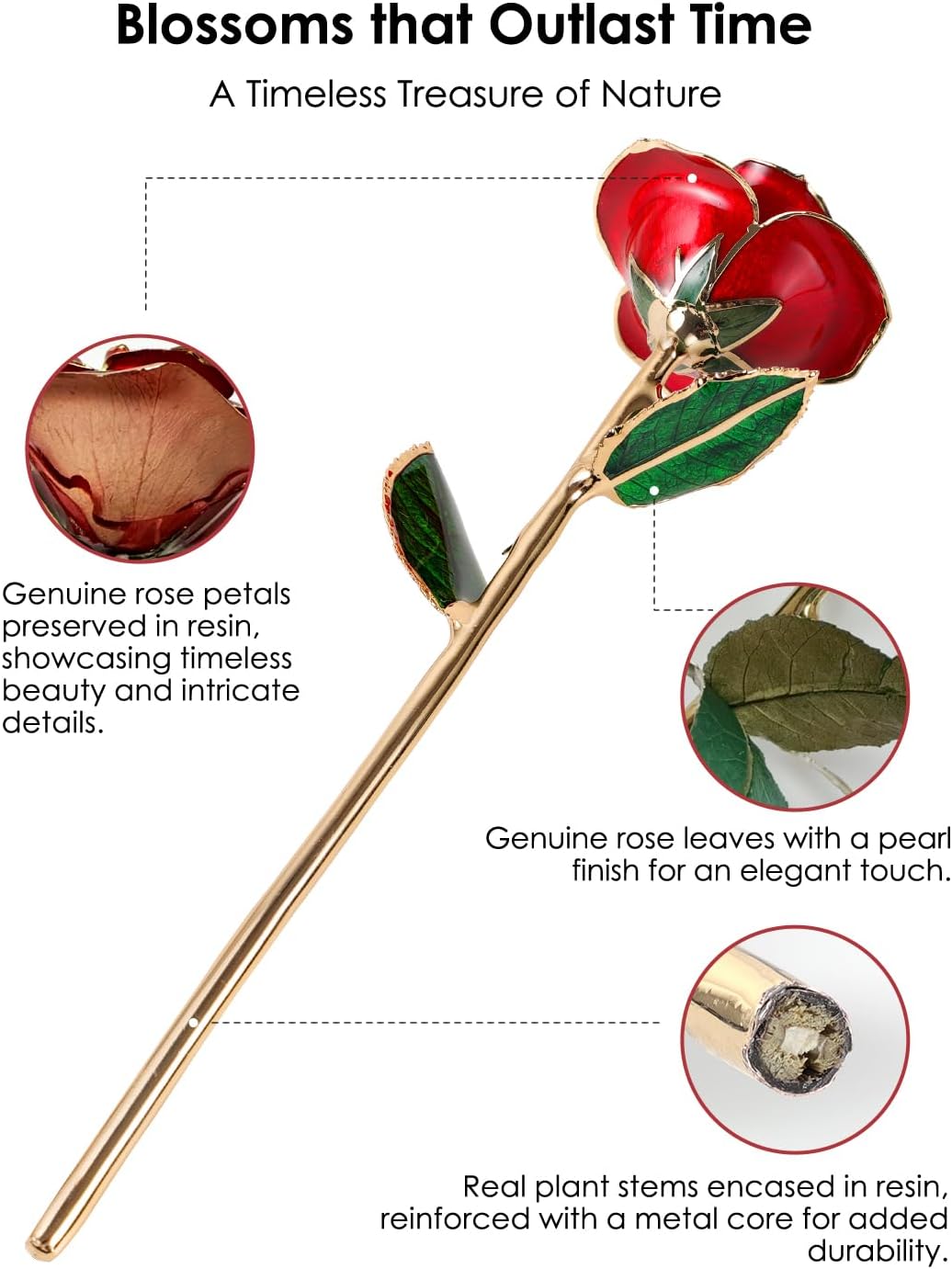24K Gold Dipped Rose – Handpicked Real Rose Preserved in 24K Gold – Passionate, One-of-a-Kind Romantic Gift for Her – Ideal for Birthday, Anniversary, Mother’s Day, Valentine’s Day (Red)