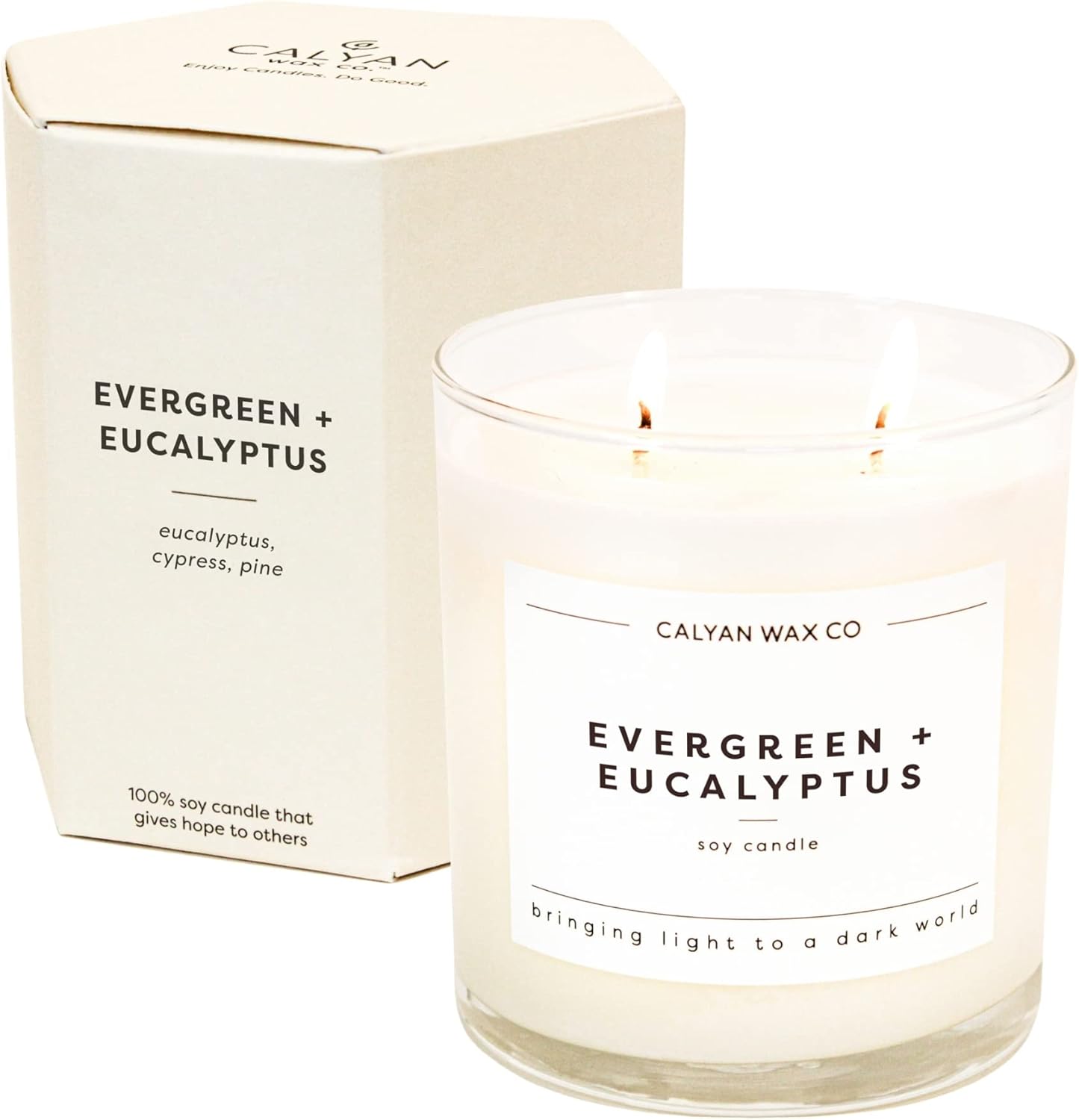 Calyan Wax Co. 심지 캔들 2개, 에버그린 + 유칼립투스 향초, 연소 시간 37시간, 아로마테라피 소이 캔들, 무독성 및 비건 소이 왁스, 유리 텀블러 향초, 354.4g(12.5온스)