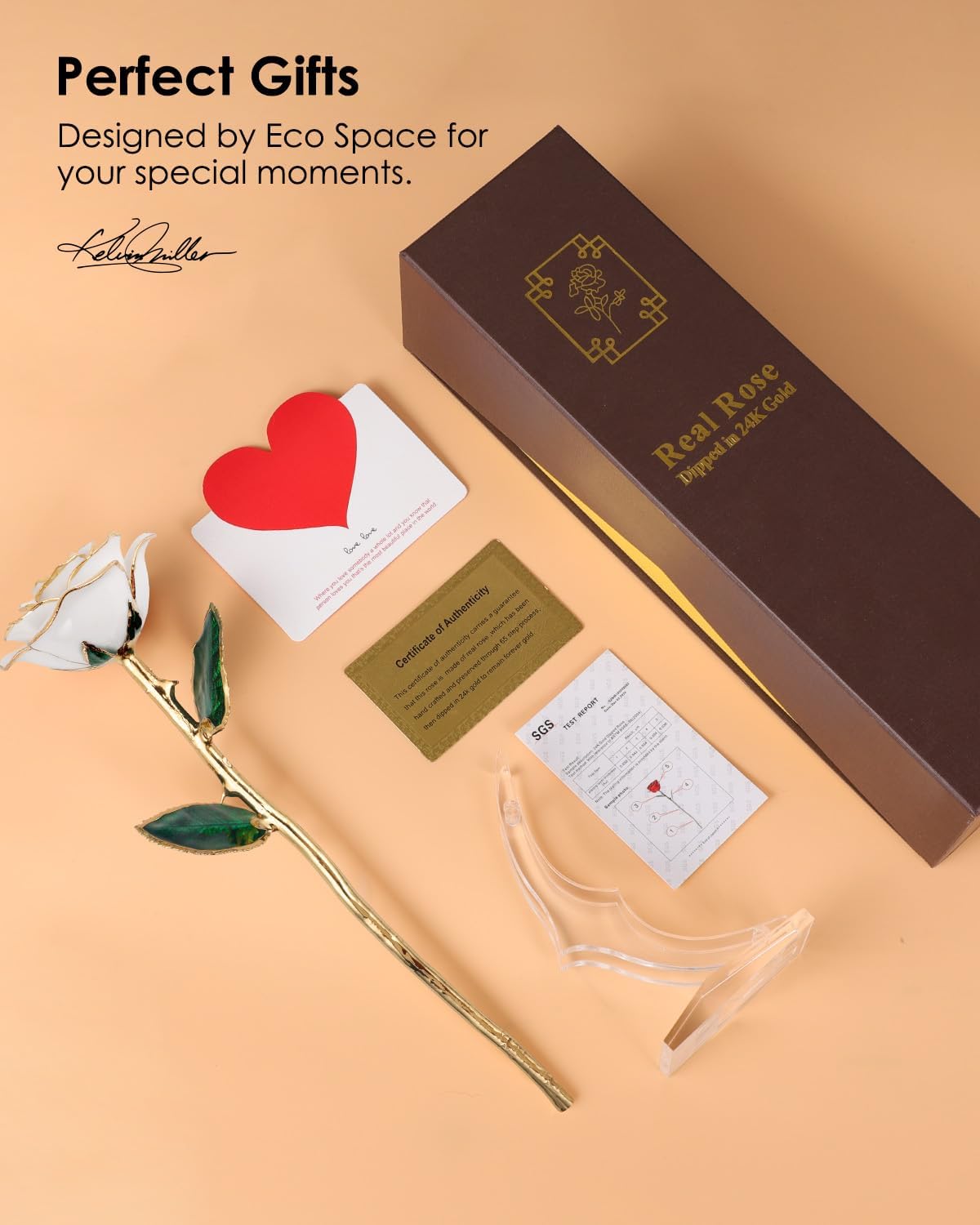 24K Gold Dipped Real Rose – Handcrafted, One of a Kind Gift – Timeless Romantic Present for Birthday, Valentine’s, Mother’s Day, Anniversary (Ivory White)