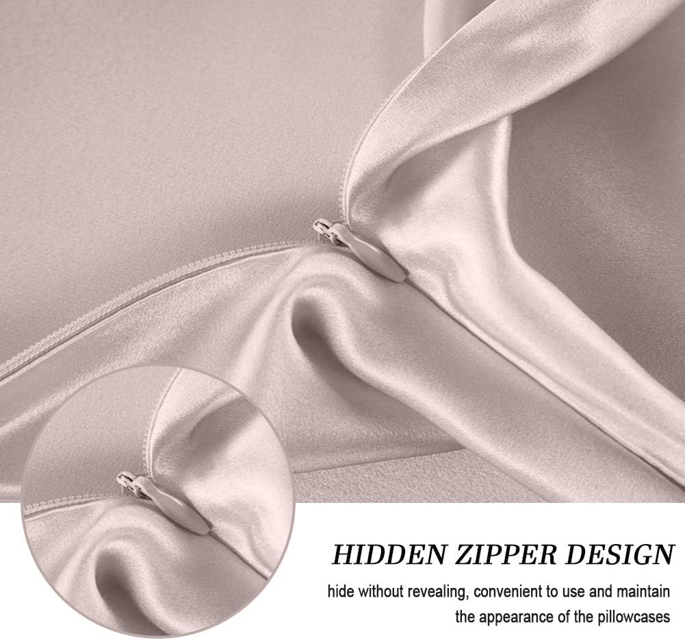 100% Mulberry Silk Pillowcases Set of 2 for Hair and Skin and Super Soft and Breathable Queen Size Nature Silk Pillowcases (Queen, Apricot Gray)