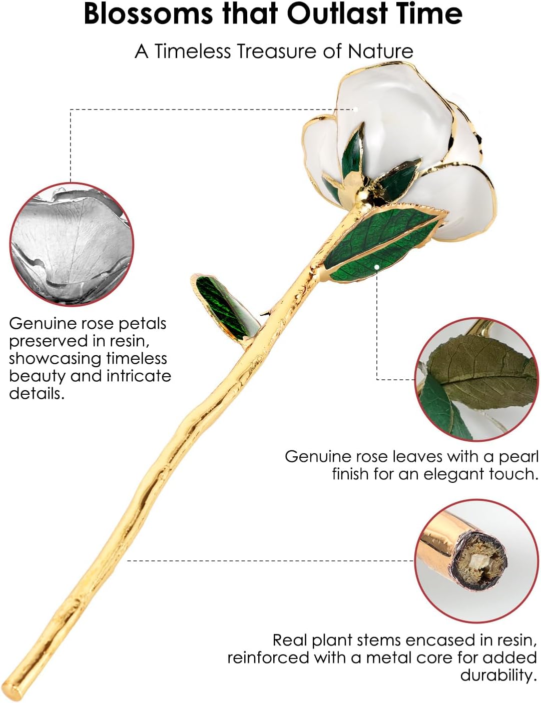 24K Gold Dipped Real Rose – Handcrafted, One of a Kind Gift – Timeless Romantic Present for Birthday, Valentine’s, Mother’s Day, Anniversary (Ivory White)