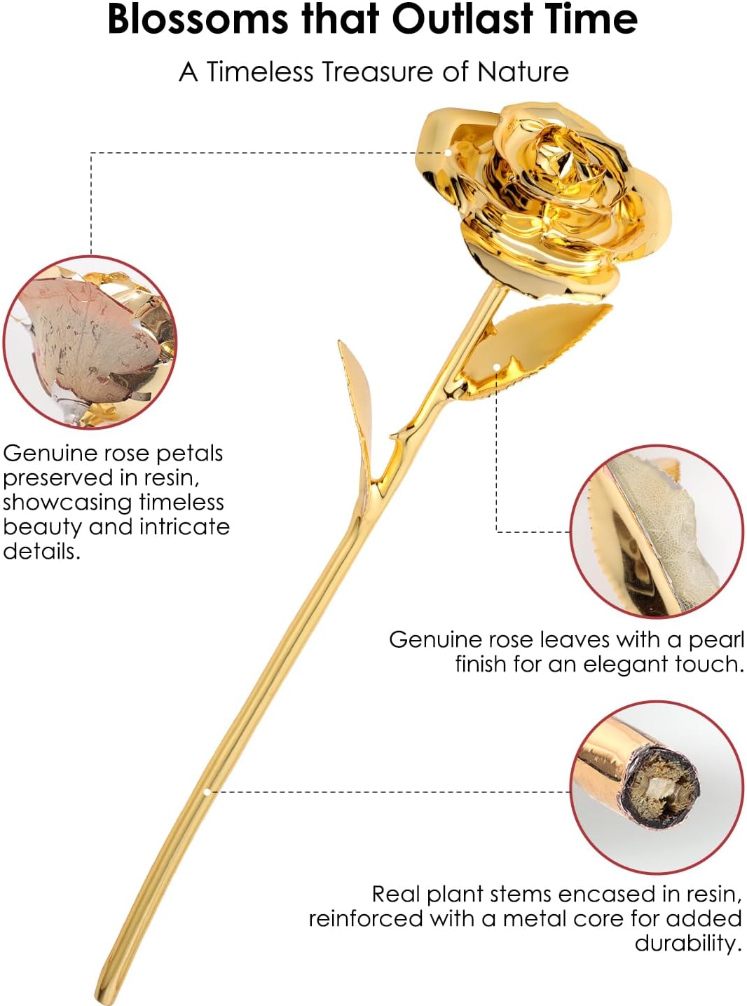 24K Gold Dipped Real Rose – Handpicked Real Rose Preserved in 24K Gold – Elegant, One-of-a-Kind Romantic Gift for Her – Ideal for Birthday, Anniversary, Mother’s Day, Valentine’s Day