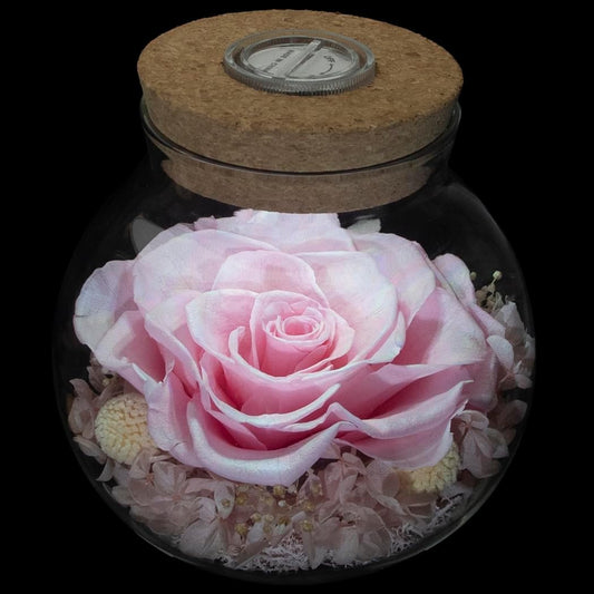 Preserved Real Roses with Colorful Mood Light Wishing Bottle, Eternal Rose,Never Withered Flowers, for Bedroom Party Table Decor, Christmas Decorations, a Gifts for Women 1pcs Pink