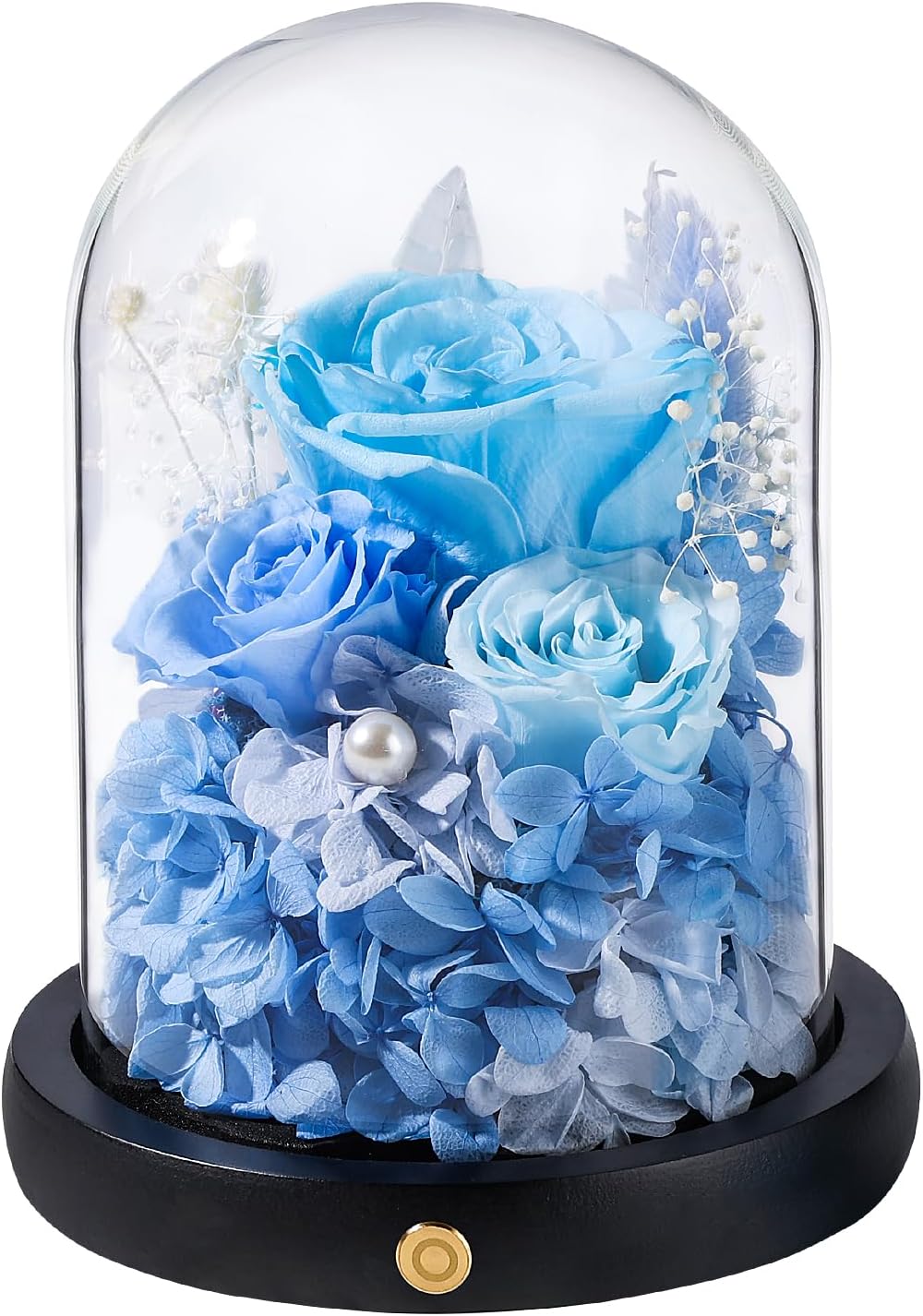 FIACO Preserved Flowers Rose Gifts for Women, Birthday Gifts Eternal Rose in Glass Dome Long-Lasting Real Forever Flowers Gifts for Mom Grandma Wife Girlfriend