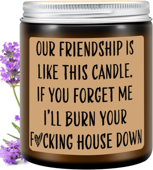 Homsolver Funny Scented Soy Candle Gifts, Our Friendship F Candle - Premium Lavender Scent, Best Friend Birthday Christmas Gifts for Women Friends