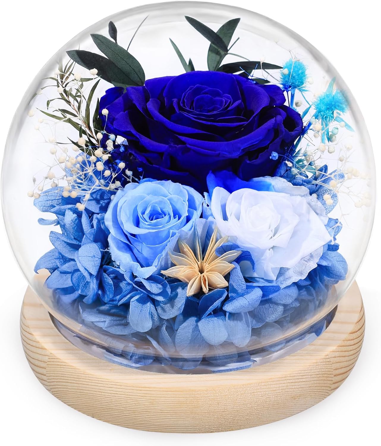FIACO Preserved Rose Birthday Gift for Women Forever Fresh Flowers for Prime Delivery Gift for Mom Grandma Wife Valentines Mothers Day Christmas Anniversary Eternal Roses in Glass Dome