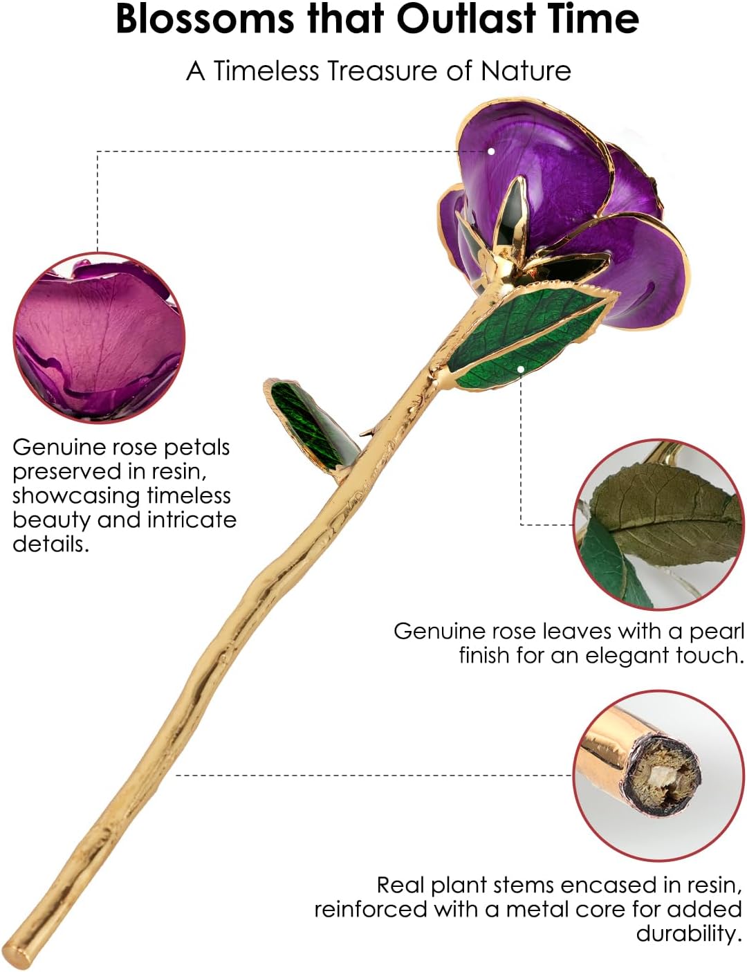 24K Gold Dipped Real Rose – Handcrafted, One of a Kind Gift – Timeless Romantic Present for Birthday, Valentine’s, Mother’s Day, Anniversary (Purple)