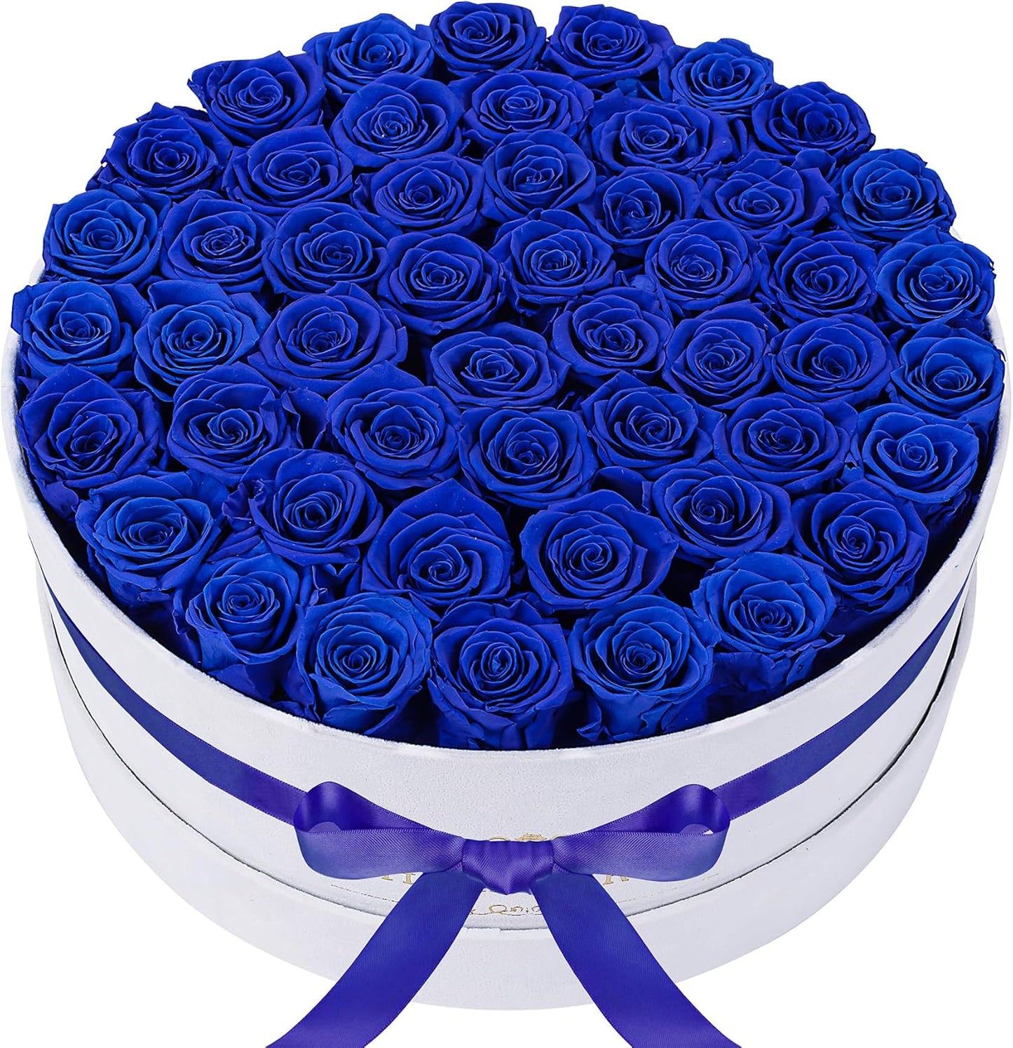50 Piece Roses in a Velvet Box, Flowers for Delivery, Presereved Flowers Birthday Gifts for Women Mom and Wife (Royal Blue)
