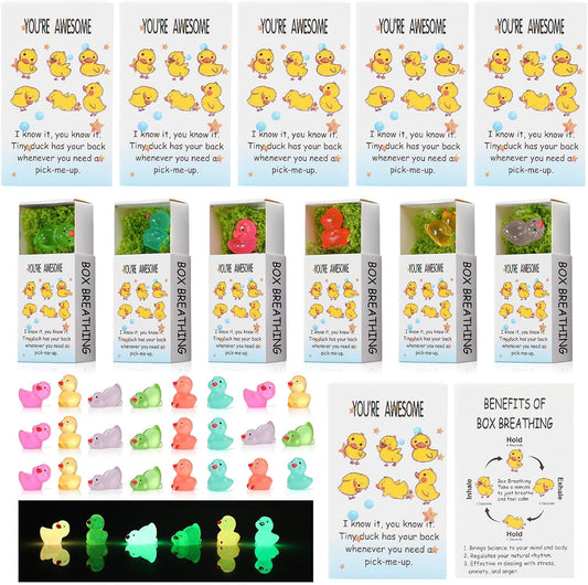 48 Sets Employee Appreciation Gifts Bulk Luminous Resin Animals Breathing Box Party Favor, Team Building Emotional Support Gifts Positive Thank You for Staff Coworkers(Duck)