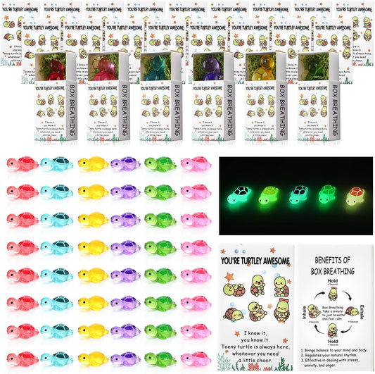 48 Sets Employee Appreciation Gifts Bulk Luminous Resin Animals Breathing Box Party Favor, Team Building Emotional Support Gifts Positive Thank You for Staff Coworkers(Multicolor Turtle)