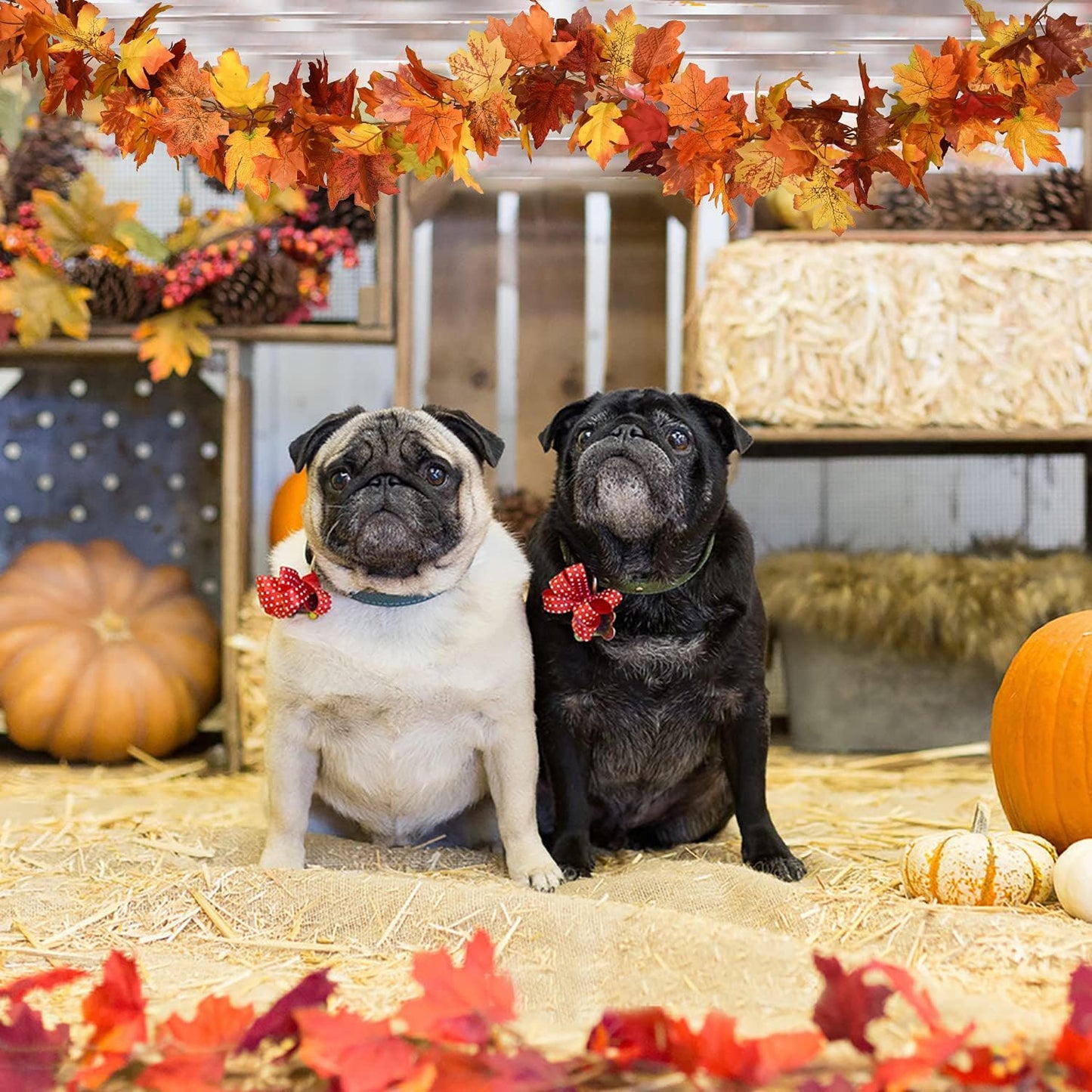 2 Pack Fall Maple Garland - 5.9ft/Piece Artificial Maple Leaf Garland Autumn Hanging Fall Leave Vines for Indoor Outdoor Wedding Thanksgiving Dinner Party Decor
