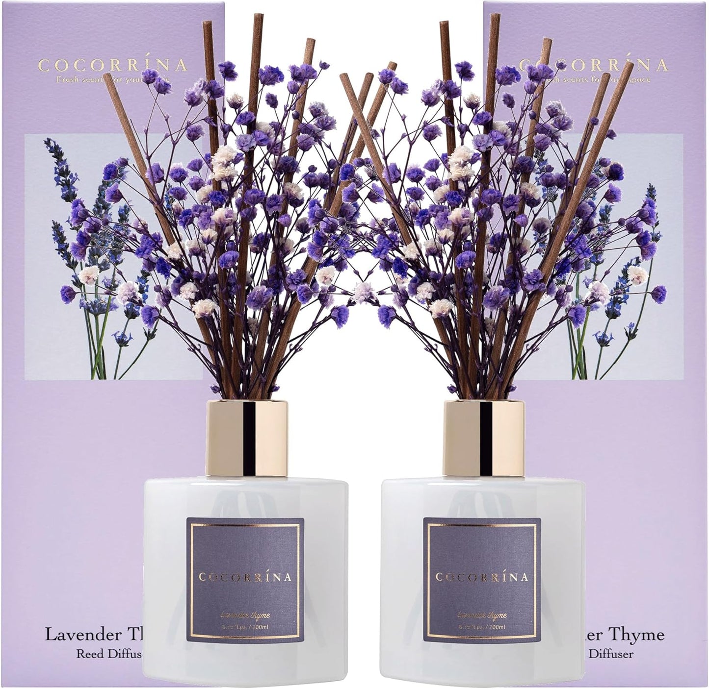 Cocorrína Premium Reed Diffuser Set with Preserved Baby's Breath & Cotton Stick Lavender Thyme 2 Packs, 6.7oz Scent Fragrance Oil Diffuser for Bedroom Bathroom Home Décor