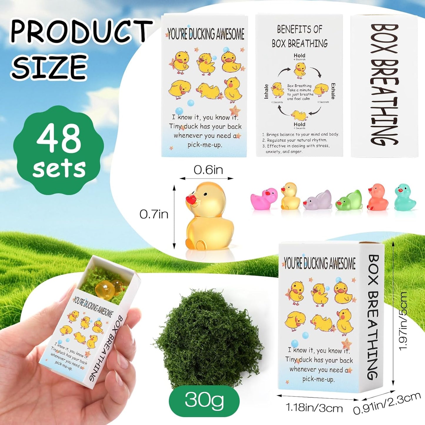 48 Sets Employee Appreciation Gifts Bulk Luminous Resin Animals Breathing Box Party Favor, Team Building Emotional Support Gifts Positive Thank You for Staff Coworkers(Duck)