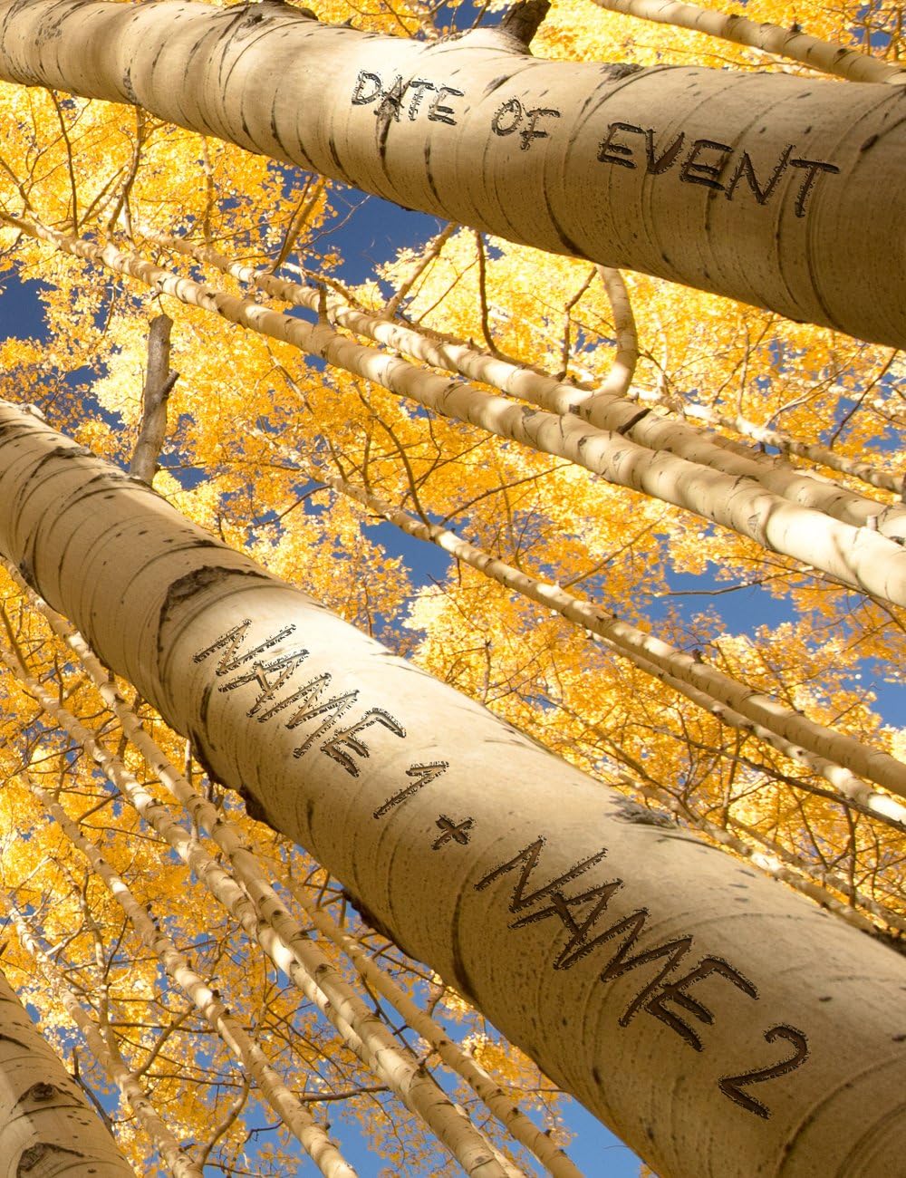 IPIC - Fall in Love, Personalized Artwork with Names and Date on, Customized Gift for Anniversary,Wedding,Birthday and Holidays. 24x16