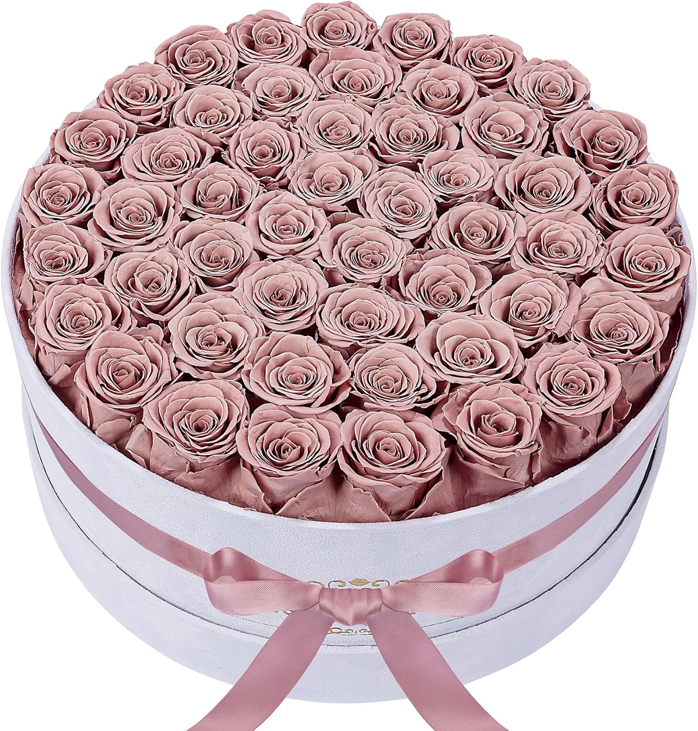 50 Piece Roses in a Velvet Box, Flowers for Delivery, Presereved Flowers Birthday Gifts for Women Mom and Wife (Dusty Rose)