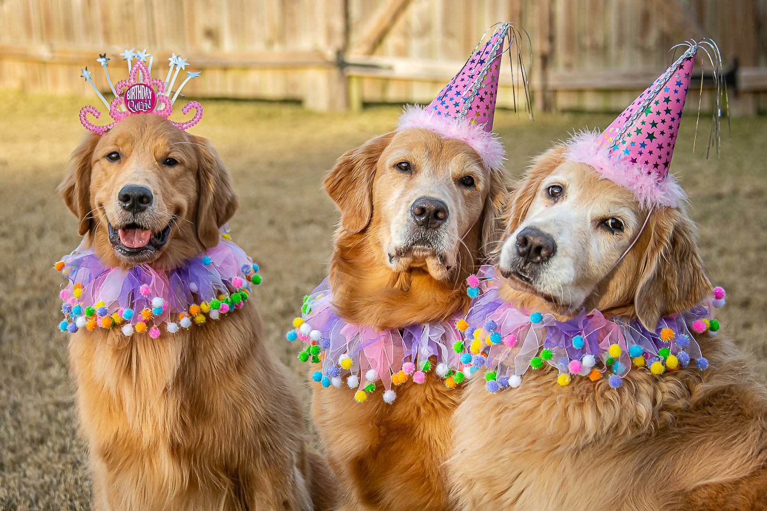 party hats	headbands	party accessories
