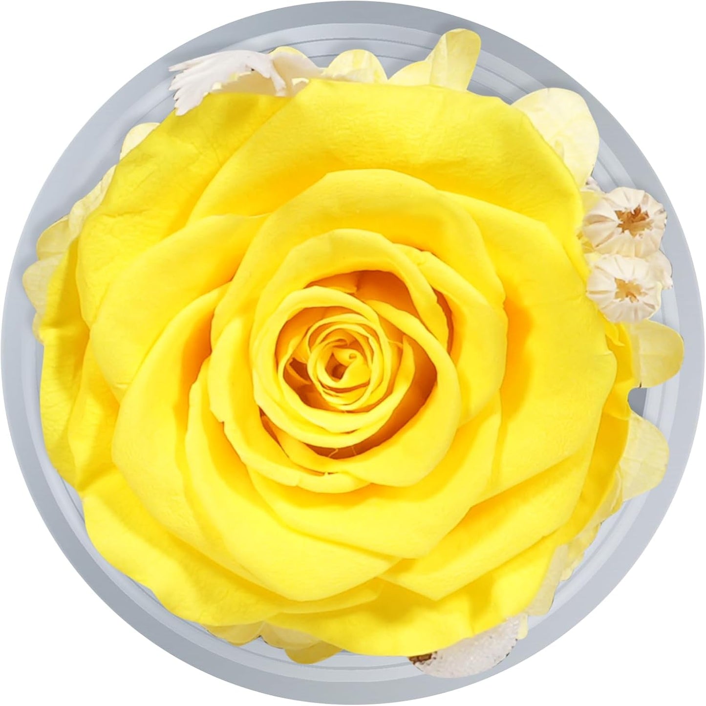 Sunia Preserved Flower Rose Gift for Women - Mother's Day Birthday Gifts for Mom Wife Grandma, Glass Angel Figurines Forever Real Roses Gifts for Her Valentine Day Thanksgiving﻿ (Yellow)