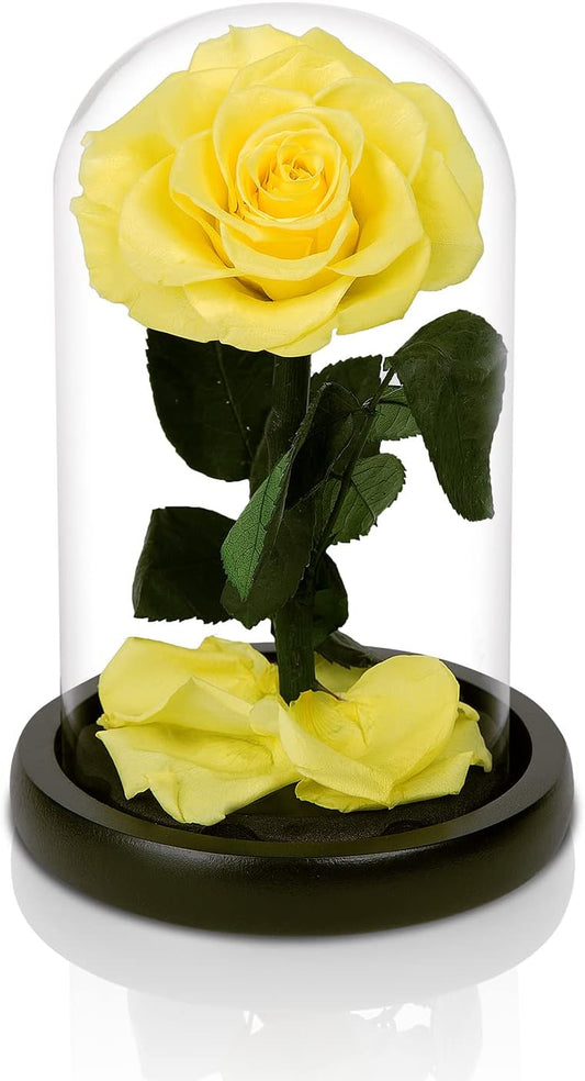 NATROSES Handmade Preserved Roses in Glass Dome, Yellow Roses, Preserved Flowers Gifts for Women, Mothers Day Flowers