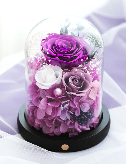 FIACO Gifts for Women Preserved Rose Forever Flower in Glass Dome Fresh Flowers for Delivery Prime Mothers Day Birthday Gifts for Mom Grandma Wife Sister Purple Roses