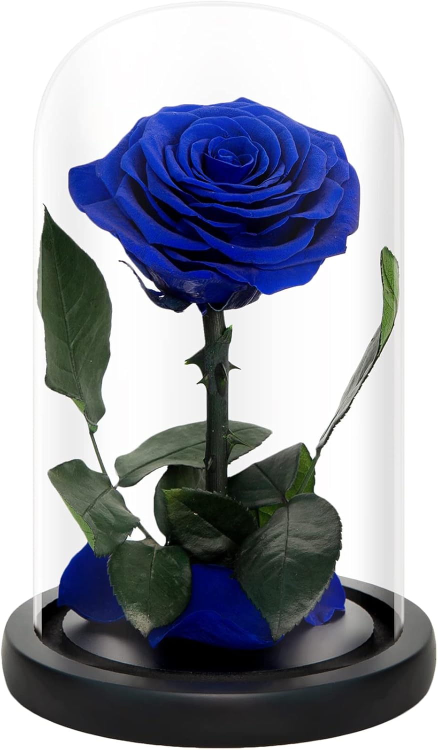 NATROSES Handmade Preserved Roses in Glass Dome, Blue Roses, Preserved Flowers Gifts for Women, Mothers Day Flowers