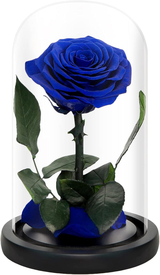NATROSES Handmade Preserved Roses in Glass Dome, Blue Roses, Preserved Flowers Gifts for Women, Mothers Day Flowers