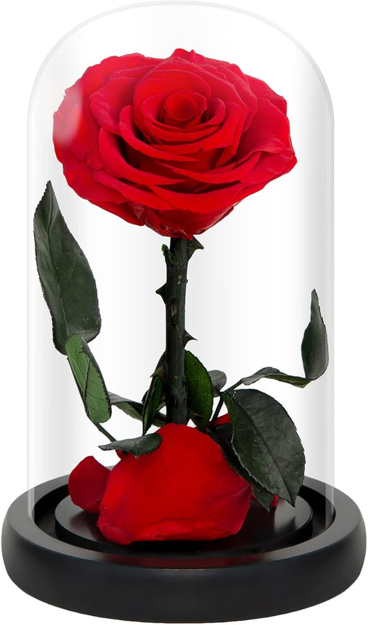 NATROSES Handmade Preserved Roses in Glass Dome, Red Roses, Preserved Flowers Gifts for Women, Mothers Day Flowers