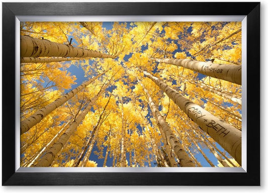 IPIC - Fall in Love, Personalized Canvas Wall Art with Names and Date on for Home Decor, Customized Gift for Anniversary,Wedding,Birthday and Holidays.