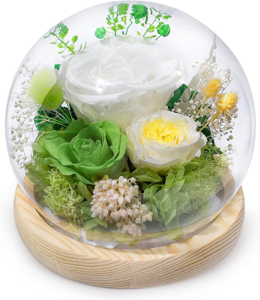 FIACO Preserved Rose Birthday Gift for Women Forever Fresh Flowers for Prime Delivery Gift for Mom Grandma Wife Valentines Mothers Day Christmas Anniversary Eternal Roses in Glass Dome