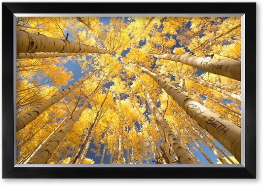 IPIC - Fall in Love, Personalized Canvas Wall Art with Names and Date on for Home Decor, Customized Gift for Anniversary,Wedding,Birthday and Holidays.