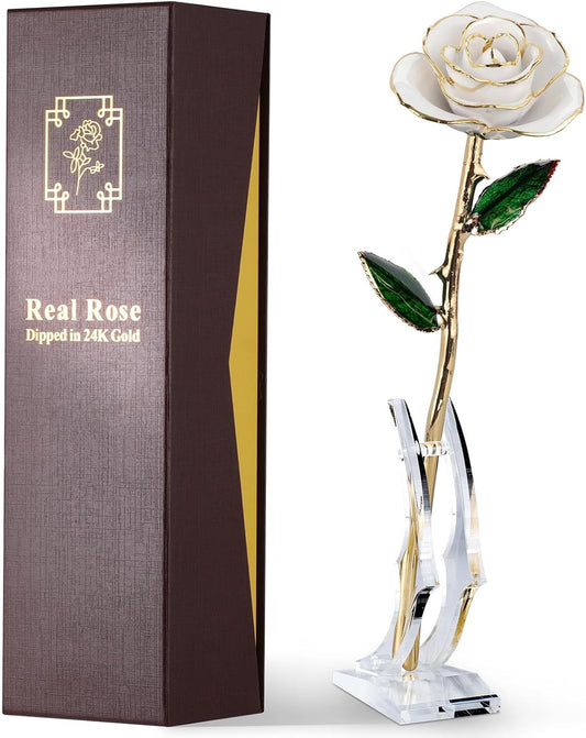 24K Gold Dipped Real Rose – Handcrafted, One of a Kind Gift – Timeless Romantic Present for Birthday, Valentine’s, Mother’s Day, Anniversary (Ivory White)