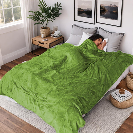 Heated Electric Blanket Queen Size 84''x90'', Dual Controller Soft Flannel with 5 Heat Settings 10 Hour Auto Off, Large Blanket for Bed- Light Grass Green