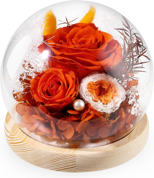 FIACO Preserved Rose Birthday Gift for Women Forever Fresh Flowers for Prime Delivery Gift for Mom Grandma Wife Valentines Mothers Day Christmas Anniversary Eternal Roses in Glass Dome