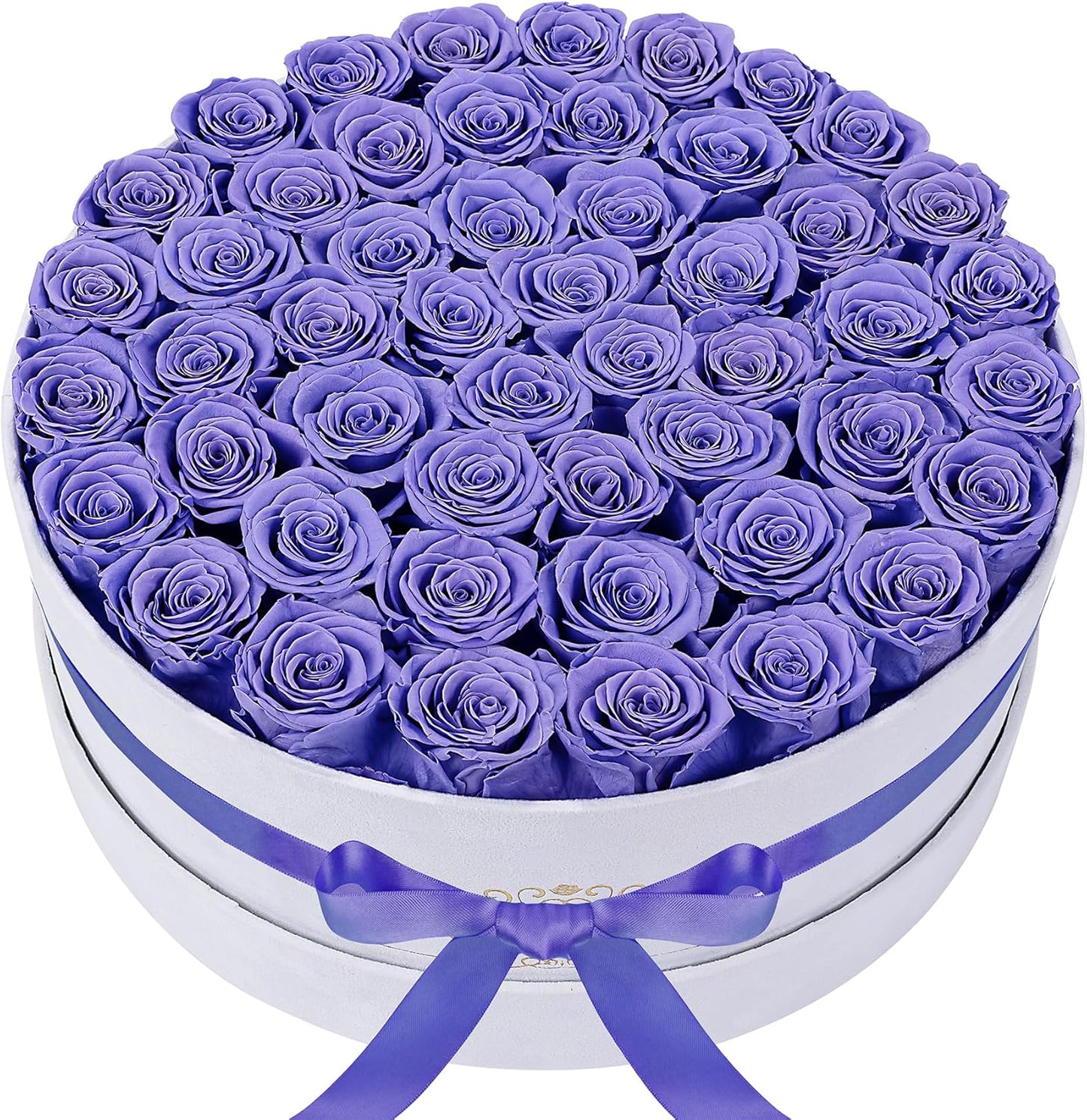50 Piece Roses in a Velvet Box, Flowers for Delivery, Presereved Flowers Birthday Gifts for Women Mom and Wife (Light Purple)